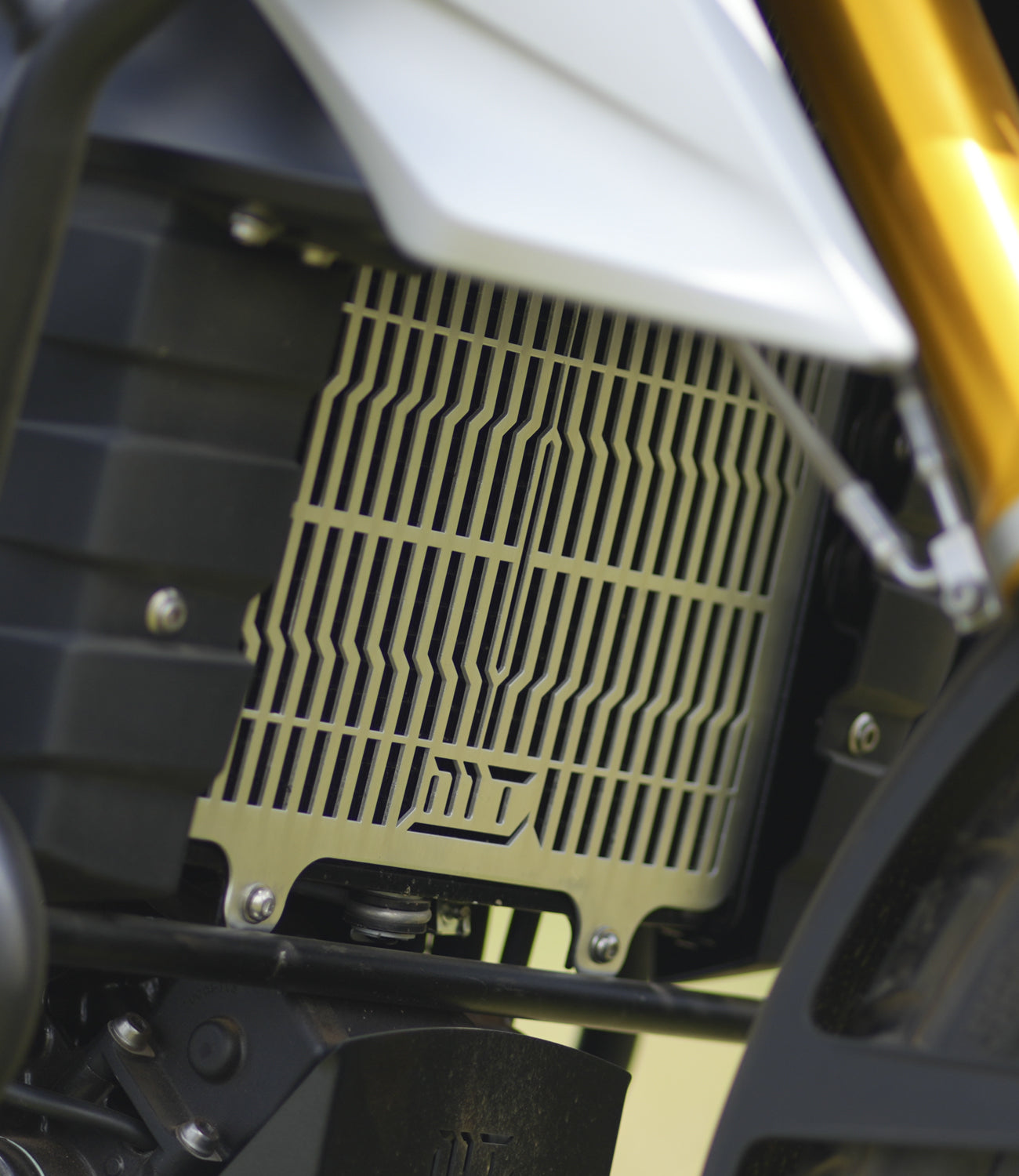 BMW G310 GS - RADIATOR GUARD