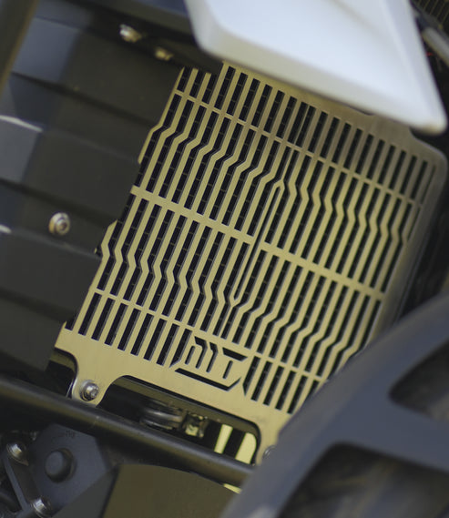 BMW G310 GS - RADIATOR GUARD
