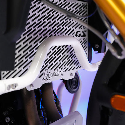 BMW F450 GS VECTOR RADIATOR GRILL SILVER